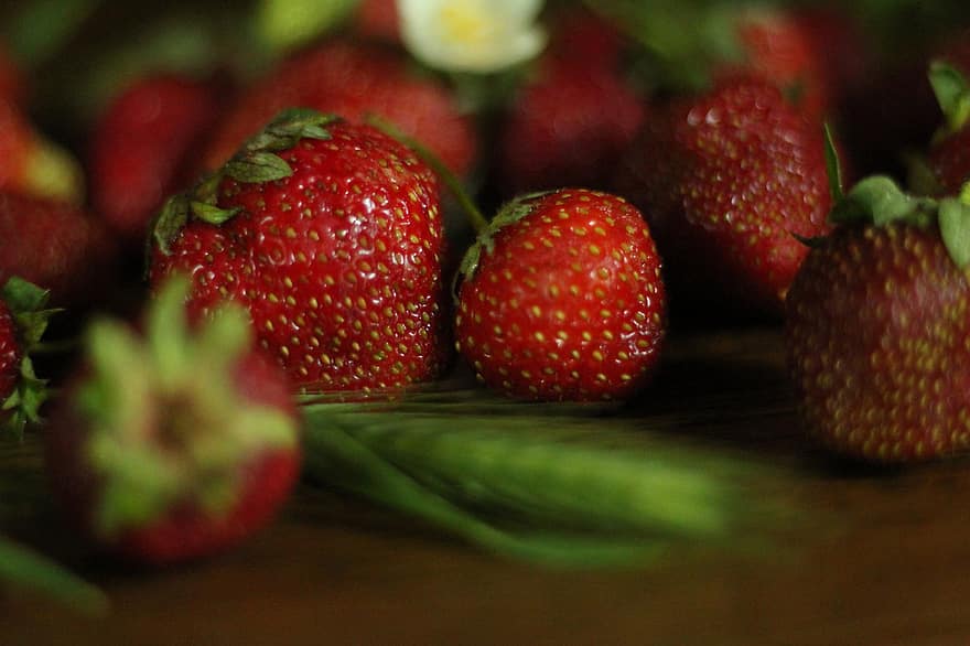 Fruit, Strawberry, Organic, Sweet, Berry, Growth, Ripe, freshness, food, close-up, leaf