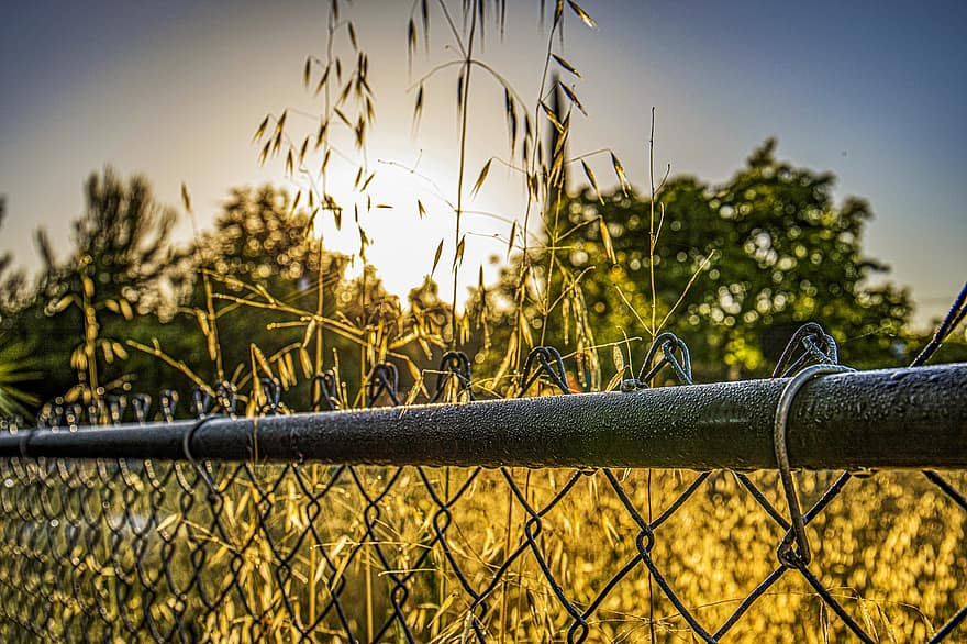 plot, vymezení, pole, svítání, řetěz, Drátěný plot, bariéra, ráno, Příroda, krajina, venkovský