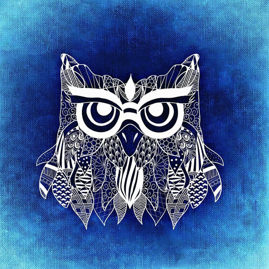 Owl, Bird, Abstract, Background, Funny