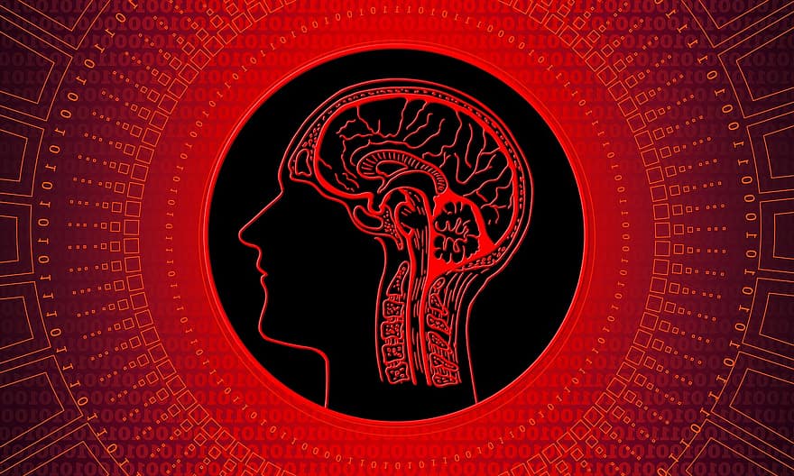 τεχνητή νοημοσύνη, εγκέφαλος, νομίζω, έλεγχος, επιστήμη των υπολογιστών, ηλεκτρολογία, τεχνολογία, προγραμματιστή, υπολογιστή, άνδρας, έξυπνος