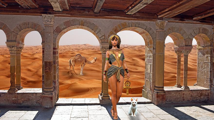 bakgrunn, ørken, kolonner, egyptisk, dronning, kamel, katt, fantasi, hunn, karakter, digital kunst