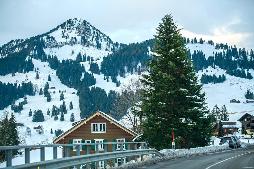 Schweiz, vinter, by, landsby, sne, bjerg, Skov, landskab, træ, sæson, bjergkæde