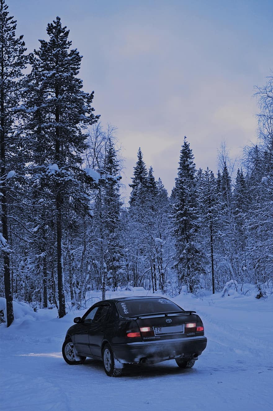 bil, vej, vinter, snedrive, sne, træer, Skov, auto, automobil, køretøj, sti