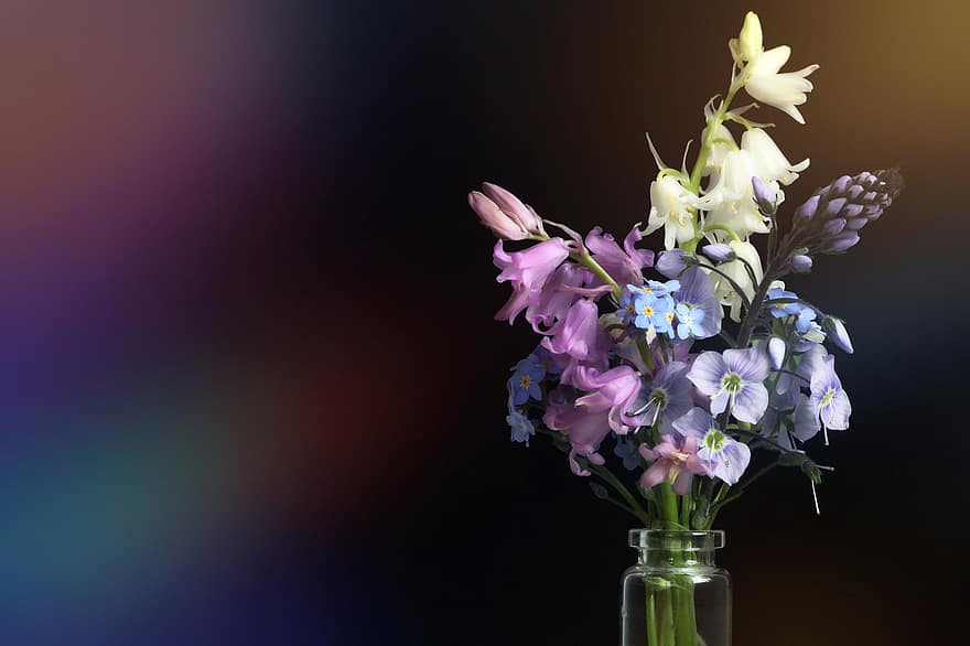 цветы, Цветочная ваза, весна, букет, ранний расцвет, букет цветов, весенние цветы, флористика, цветок, ваза, завод