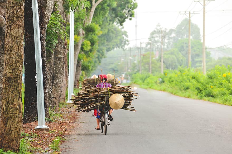 út, országút, emberek, kerékpárok, lovagol, ágak, faipari, Vietnam