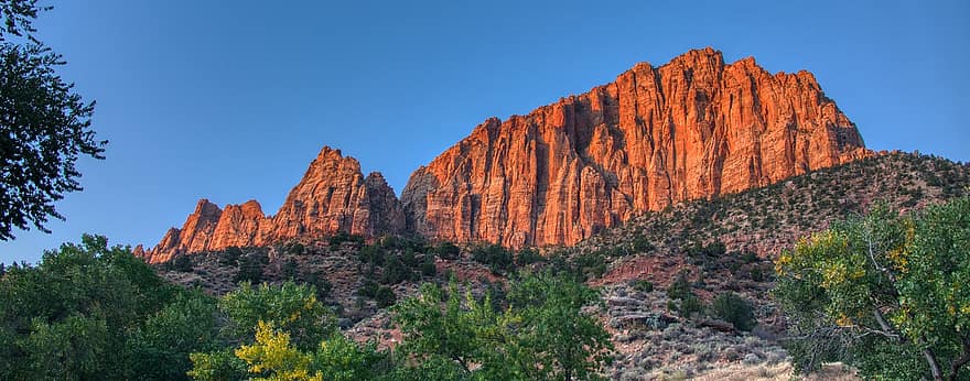 kalliot, vuoret, pensaat, Puut, kanjoni, punaiset kalliot, kasvit, maisema, luonto, Utah, Zionin kansallispuisto