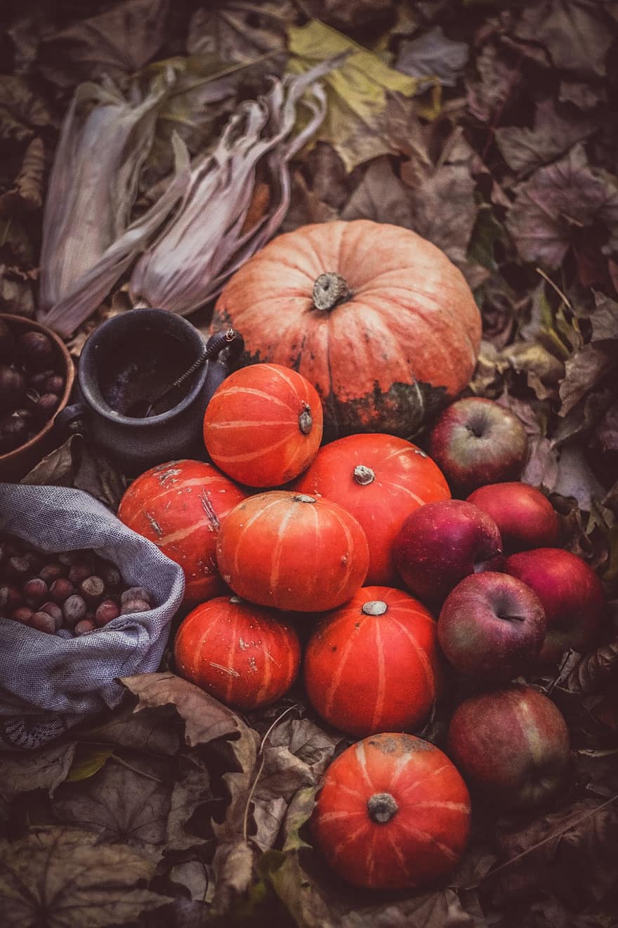 Pumpkins, Treat, Apples, Halloween, Park, Harvest, Wicca, Magic, Enchantment