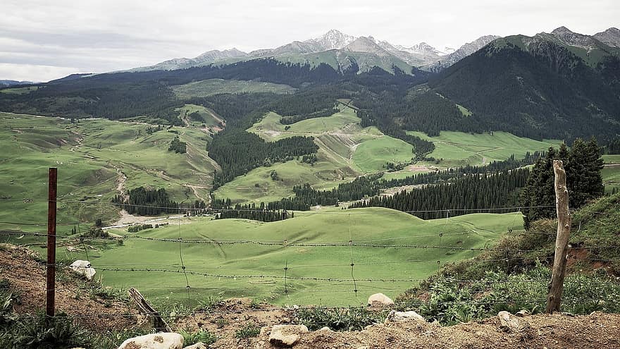 hegy, dróthálót, Látvány, Xinjiang, vidéki táj, tájkép, rét, tanya, zöld szín, fű, nyári