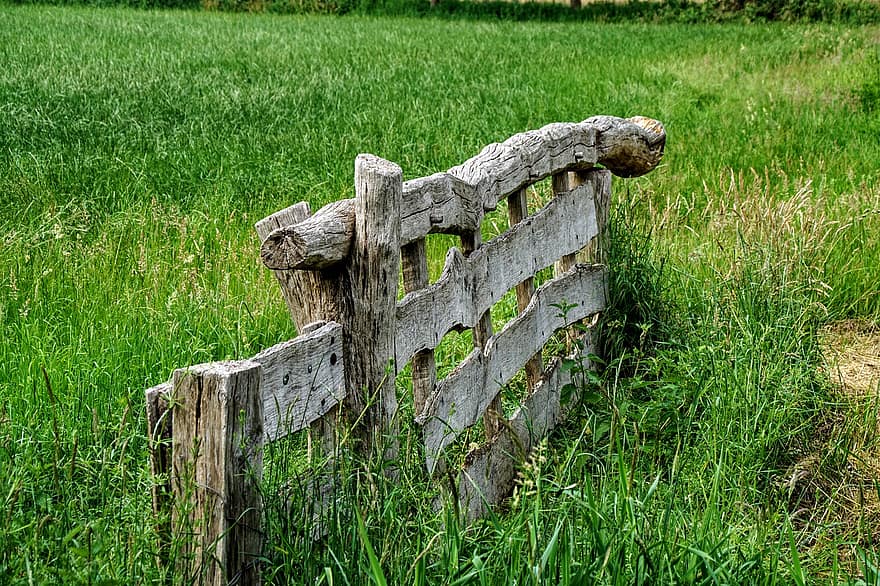 recinzione in legno, recinto, prato, erba, drenthe, paesaggio