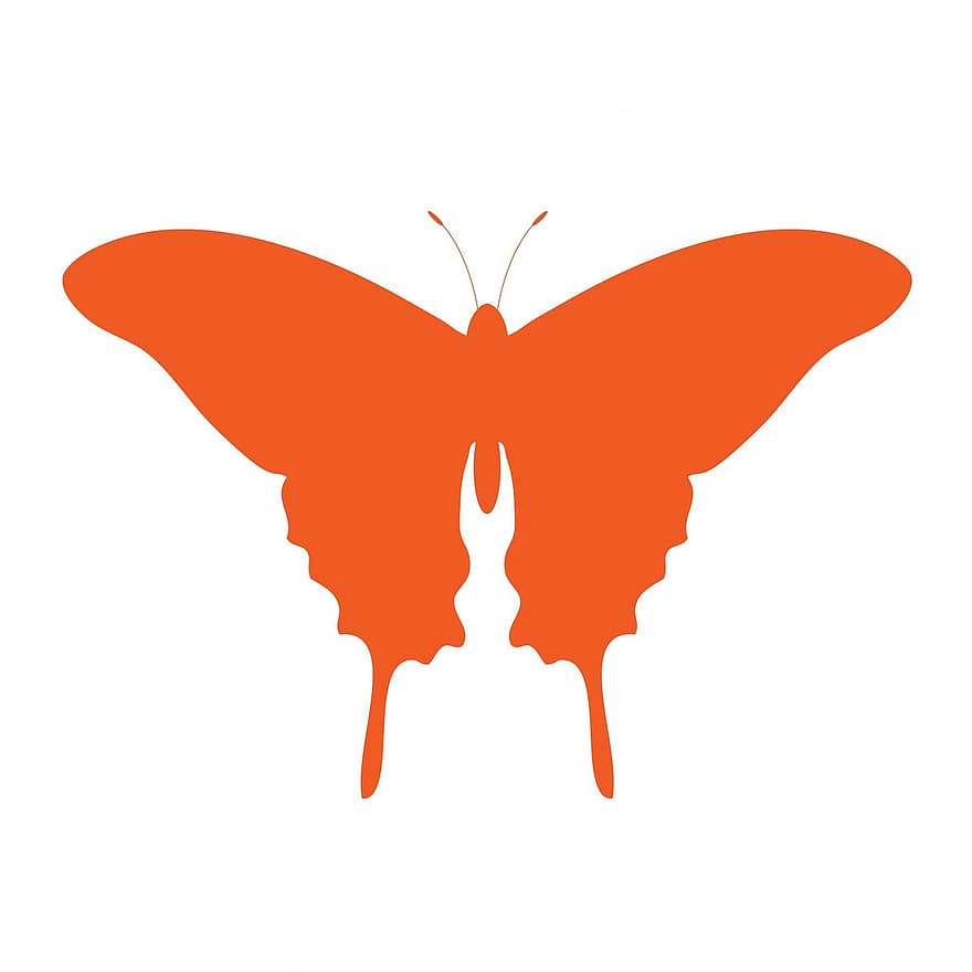 бабочка, оранжевый, Изобразительное искусство, прекрасный, форма