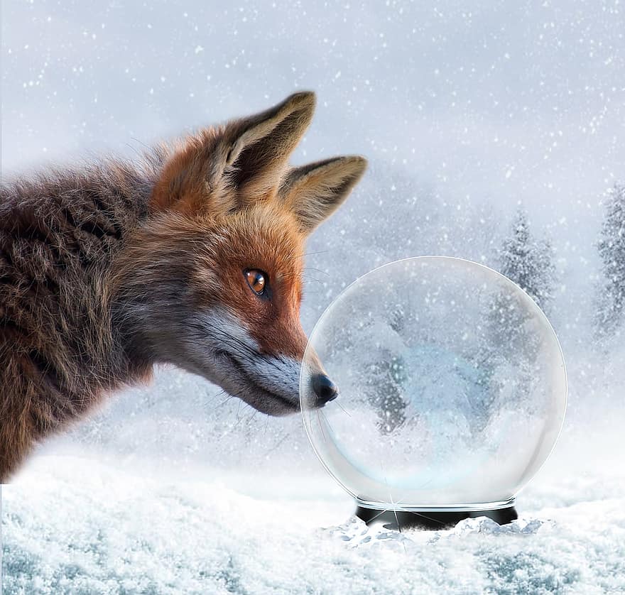 vos, dier, wild, magisch, sneeuw, Kerstmis, zoogdier