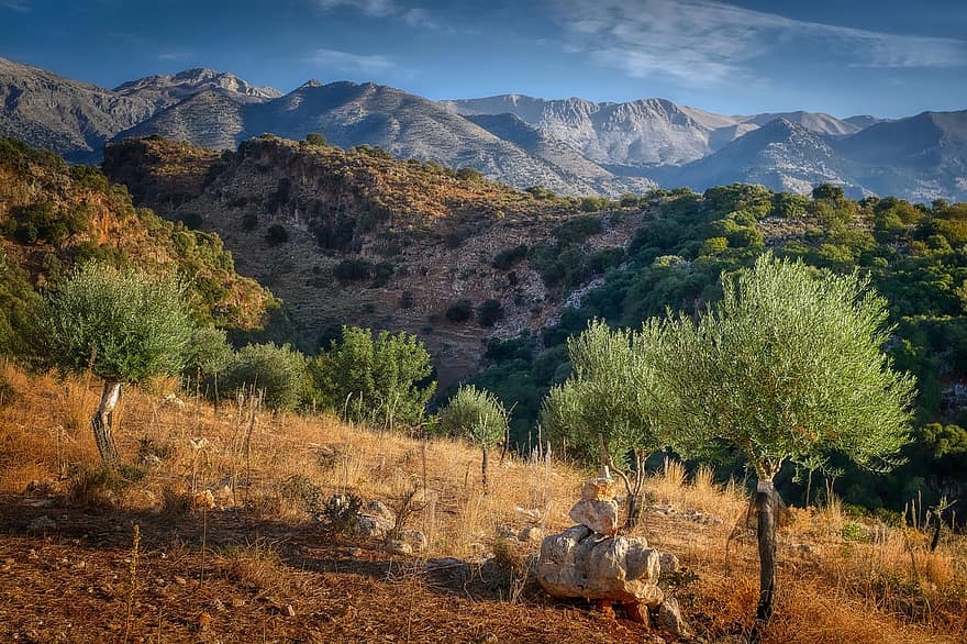 măslini, munţi, Creta, peisaj, panorama montană, Grecia
