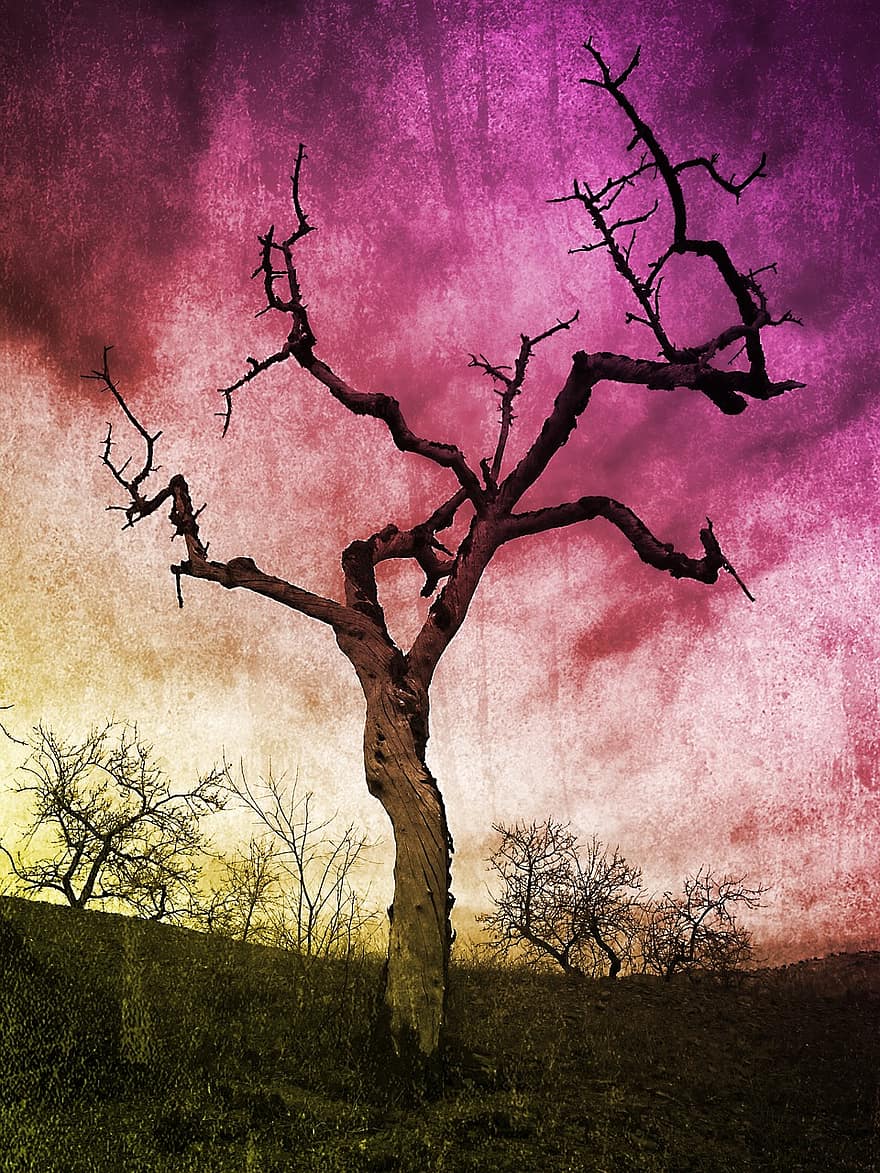 मृत पेड़, बादाम का पेड़, रहस्य