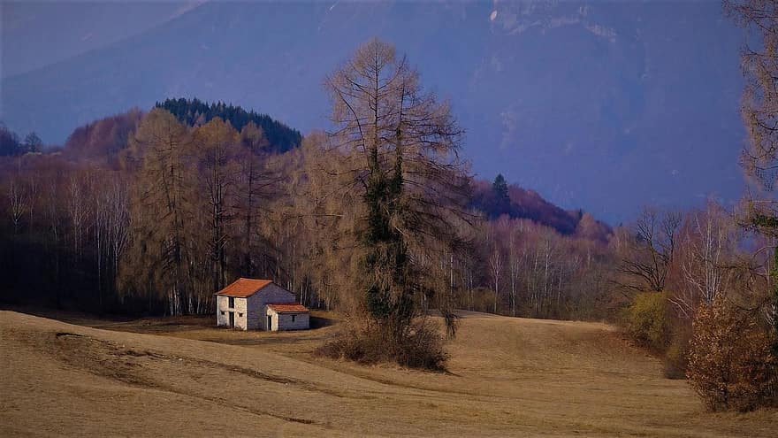 House, Mountain, Alps, Trees, Landscape, Baita, Hut, Belluno, Countryside, Dolomites, Fall