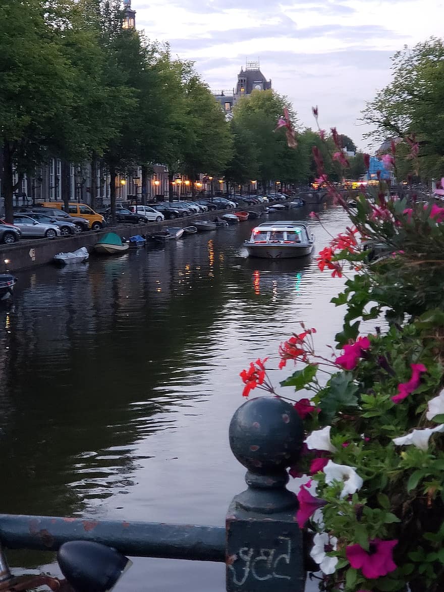 アムステルダム、運河、川、オランダ
