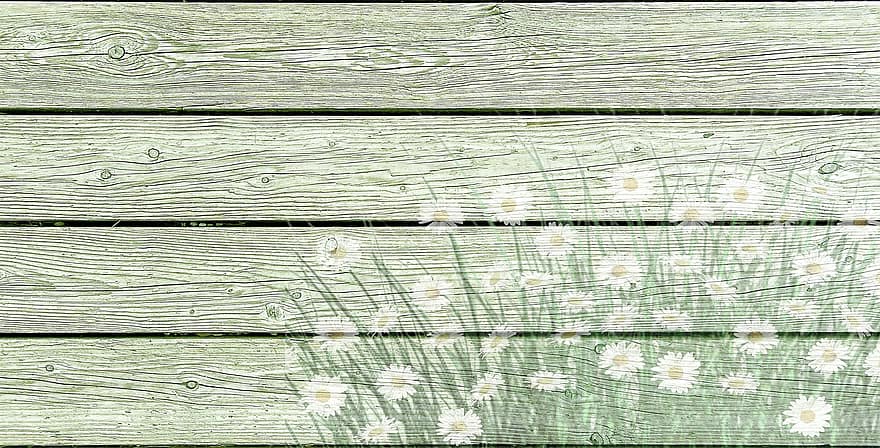 On Wood, Daisies, Wooden Wall, Country House Style, Wood, Playful, Decoration, Green, Background, Romantic