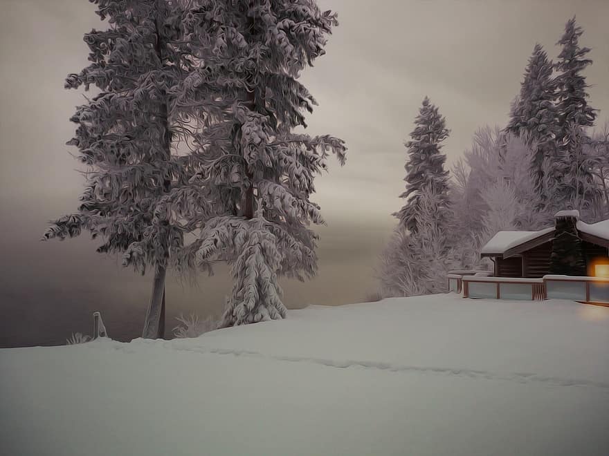 winter, natuur, hut, sneeuw, seizoen, bomen