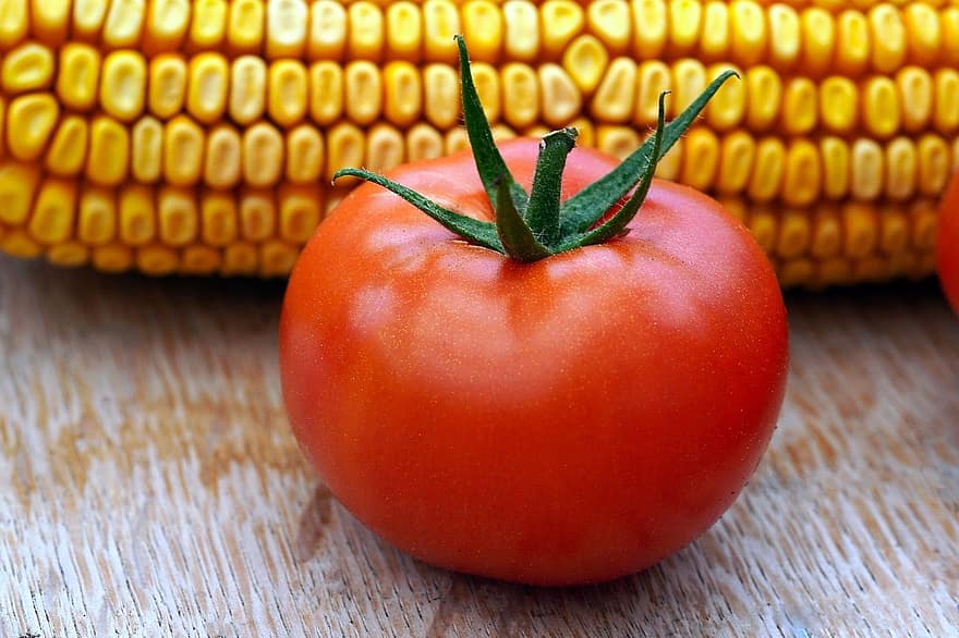 tomate, vegetales, maíz, vegetal, frescura, comida, orgánico, agricultura, de cerca, alimentación saludable, naturaleza