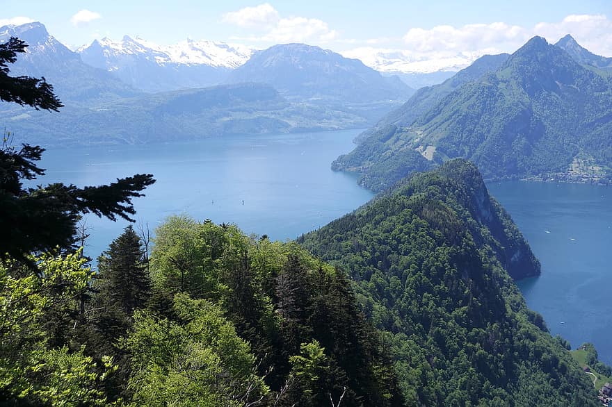 muntanyes, arbres, senderisme, llacuna algues, regió, suïssa, Suïssa central, atorgar valors
