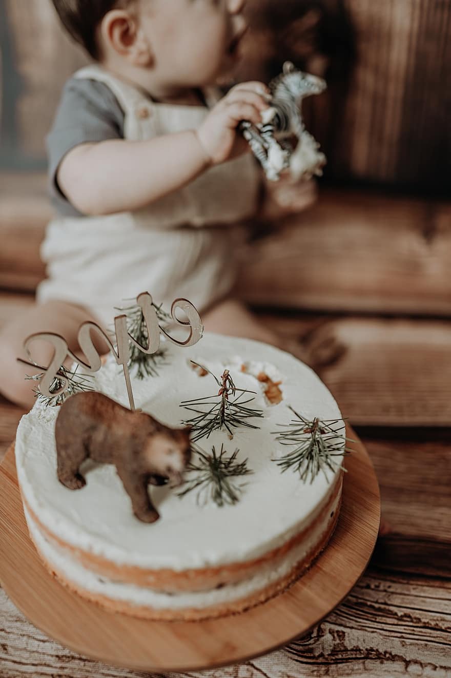 Child, Boy, Cute, Cake, Baby, Young, Infant, Kid, Childhood, cookie, dessert