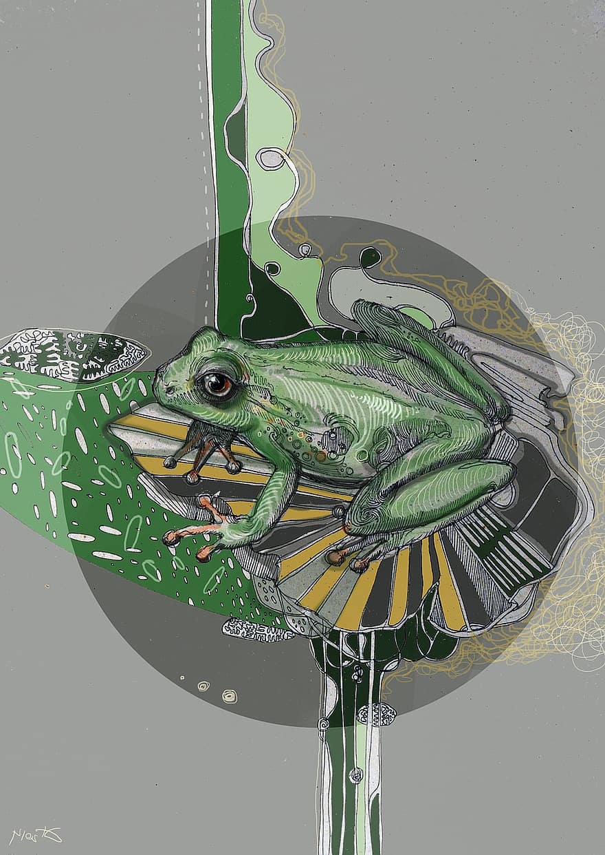 βάτραχος, χαρακτήρας, πράσινος, διάνυσμα, απεικόνιση