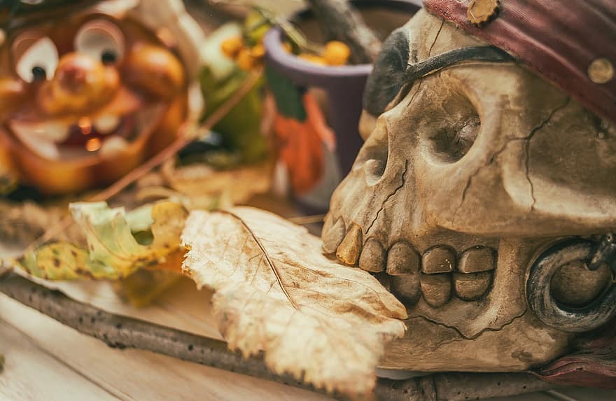 halloween, blad, skelet