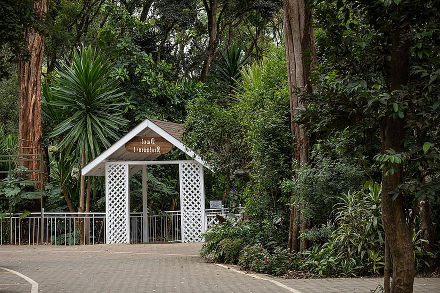 casa, edifici, jardí, entrada, façana, arquitectura, viatjar, Kenya, Nairobi