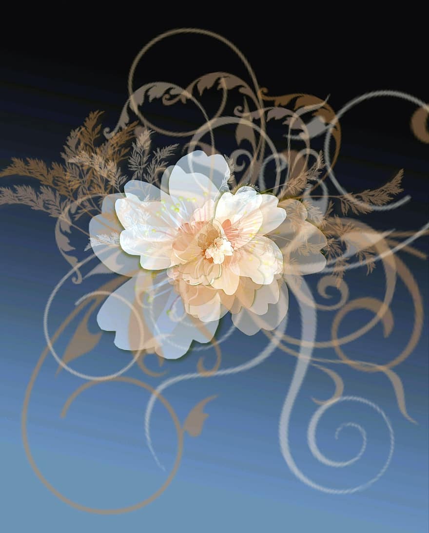 Flowers, Ornament, Fantasy, Abstract