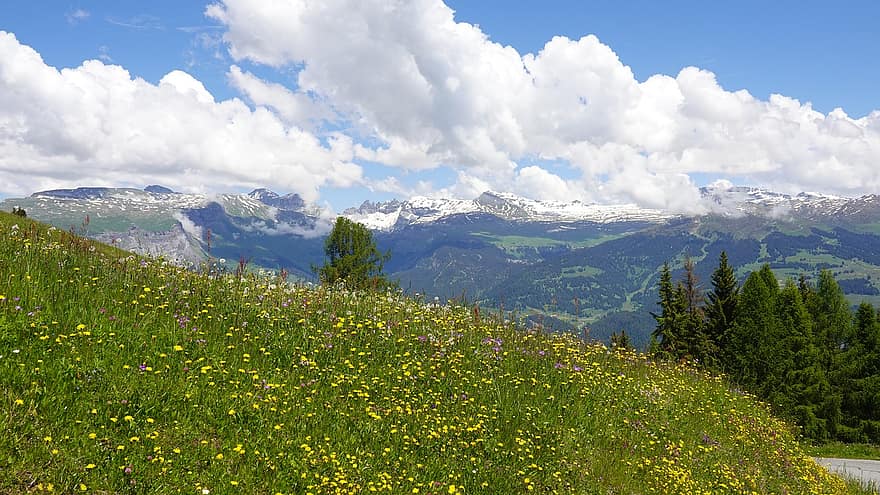 prado de flores, nubes, bosque, panorama de montaña, montaña, prado, verano, hierba, paisaje, color verde, pico de la montaña