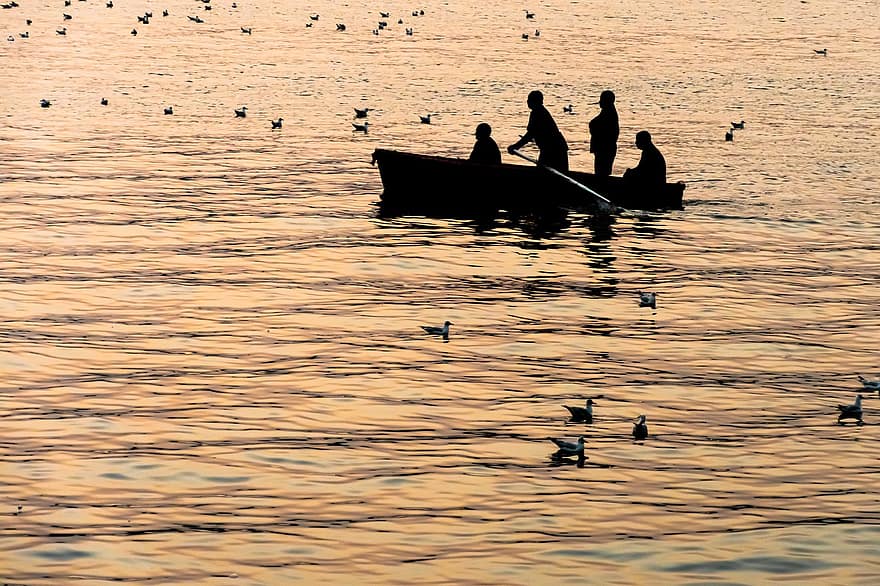 नाव, मछुआ, पक्षियों, सिल्हूट, मछली पकड़ने, पानी, दृश्यों, सागर, सूर्योदय