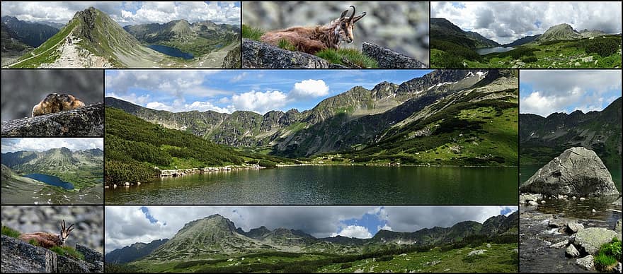 collage, tatry, montañas, turismo, Polonia, paisaje, los tatras altos