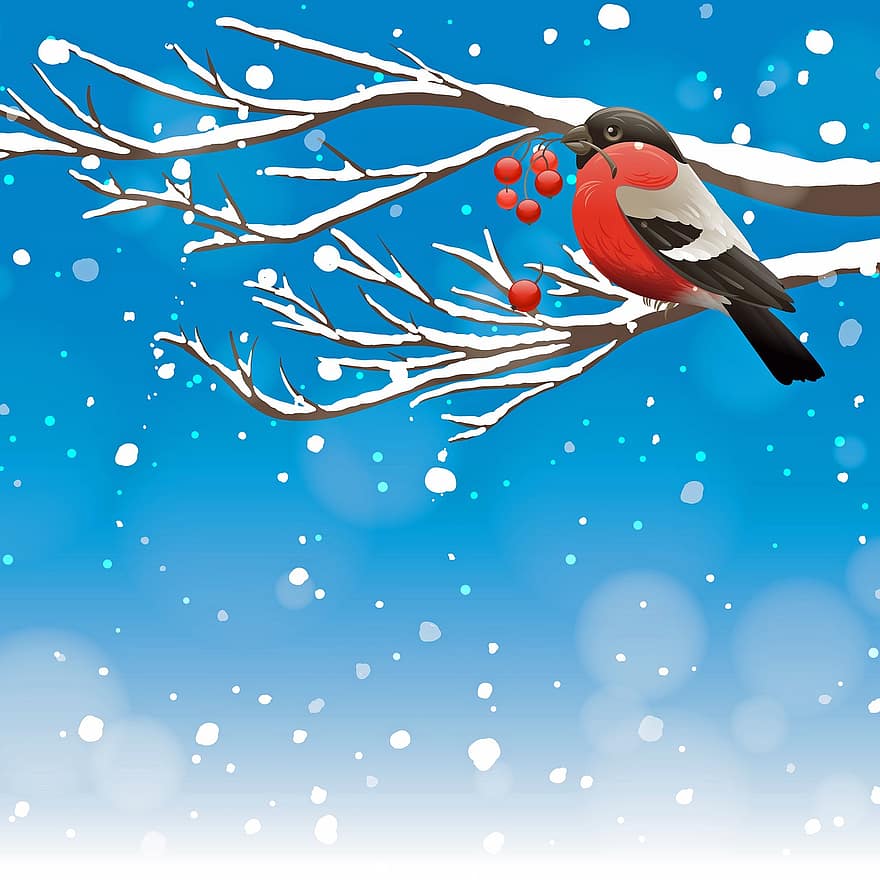 vogel, bessen, boom, takje, sneeuw, vorst, Kerstmis, winter, achtergrond, landschap, Bos