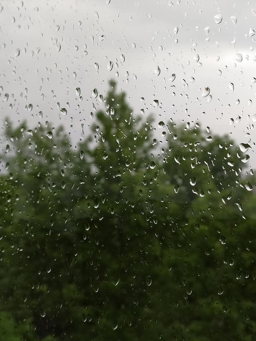 deszcz, krople, szkło, lato, wieczór