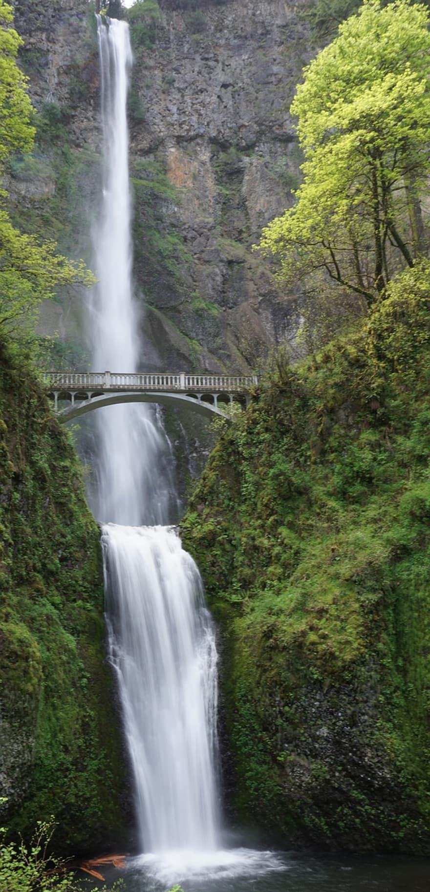 waterval, brug, rivier-, Oregon, multnomah valt, de rivierkloof van Colombia, natuur