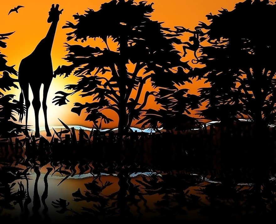 жирафа, зоологический, животные, саванна, запад, заход солнца, золь, деревья, африканец, против света, отражение