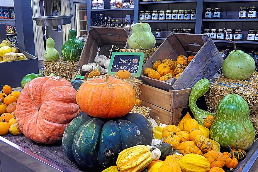 Pumpkins, Gourds, Squash, Harvest, Vegetables, Healthy, Nutrition, Food, Autumn, Fall, Seasonal