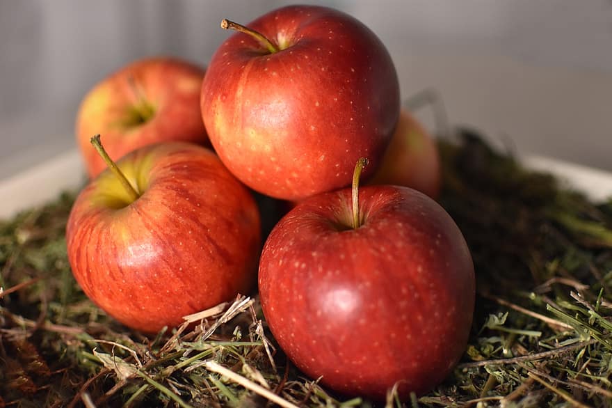 Äpfel, Früchte, rote Äpfel, reif, reife Früchte, reife Äpfel, Ernte, produzieren, organisch, gesund, nahrhaft