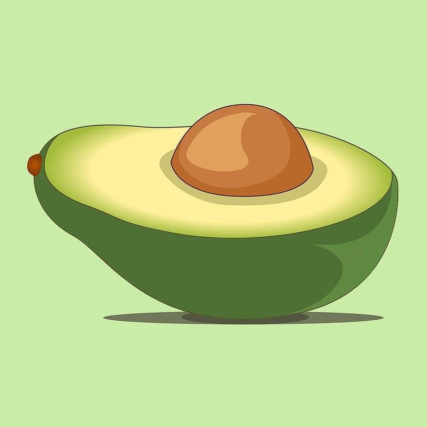 Avocado, Fruit, Food, Vegetables And Fruits, Nutrition, illustration, vector, organic, green color, cartoon, design
