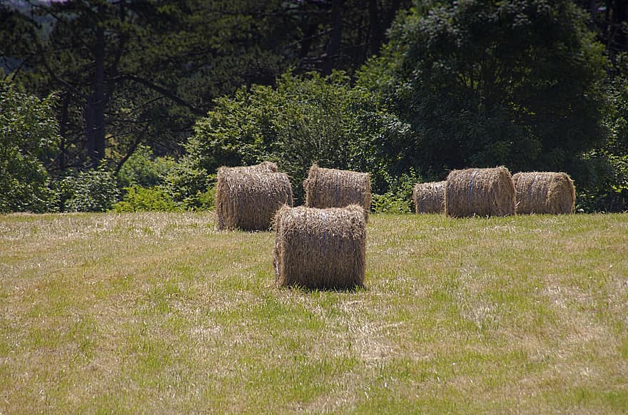 Straw, Agriculture, Hay, Rural, Nature, Trator, Agricultural, Cultivate, Harvest, grass, meadow