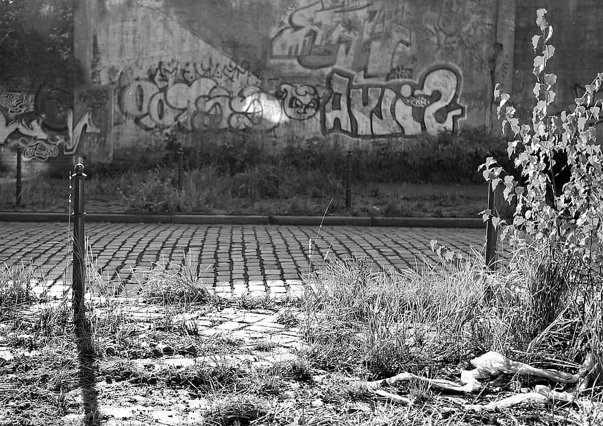 graffiti, parete, vicolo, urbano, bianco e nero, strada, pietre per lastricati, all'aperto, città
