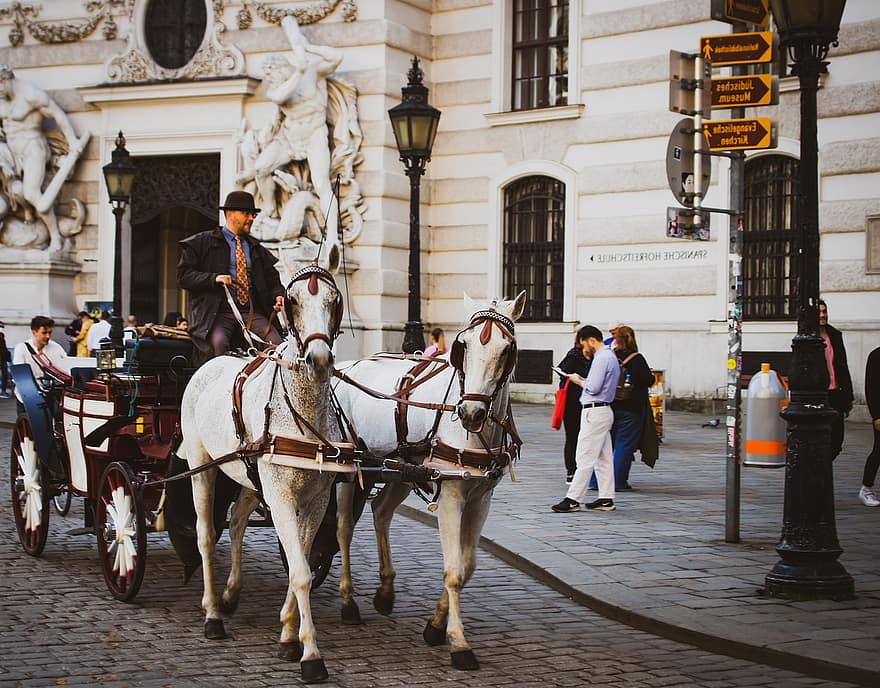 zirgs, pārvadāšana, cilvēkiem, iela, pilsēta, vintage, retro, ceļot, Vīne, kultūras, slavenā vieta