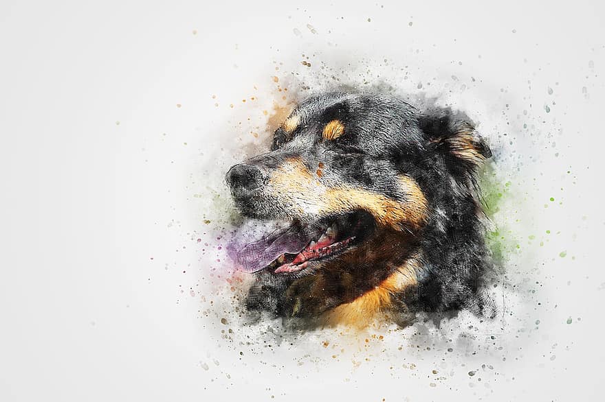 hund, portræt, kæledyr, kunst, abstrakt, årgang, akvarel, trist, dyr, natur, kunstnerisk