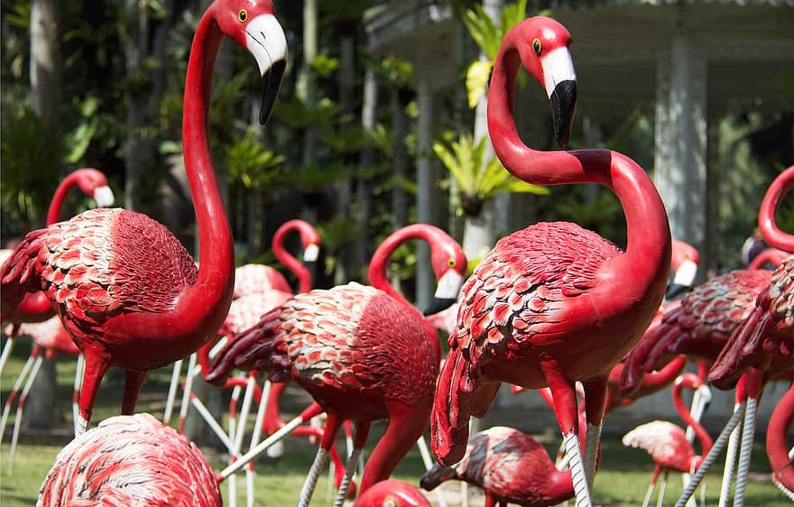 фламинго, птица, статуя, скулптура, градина, многоцветни, перце, клюн, едър план, тропичен климат, животни в дивата природа