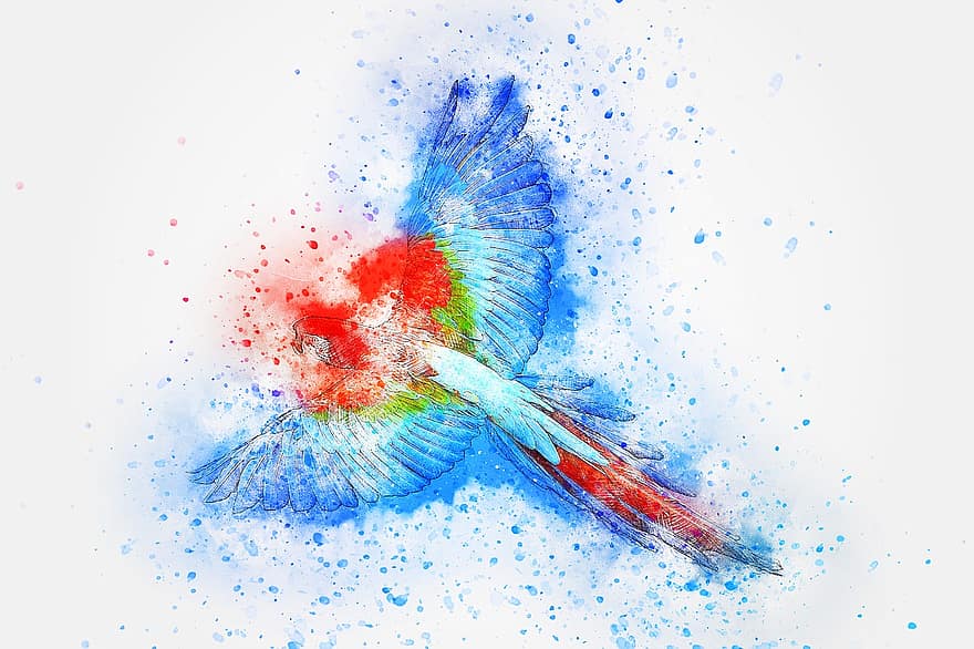 pták, Papoušek, peří, létající, vodové barvy, zvíře, barvitý, vinobraní, Příroda, umělecký, tapeta na zeď
