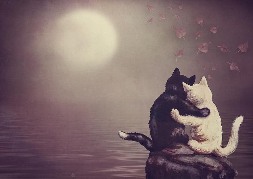 марочный, кошка, Луна, море, листья, пара, любить, желание, свет луны, настроение, меланхолический