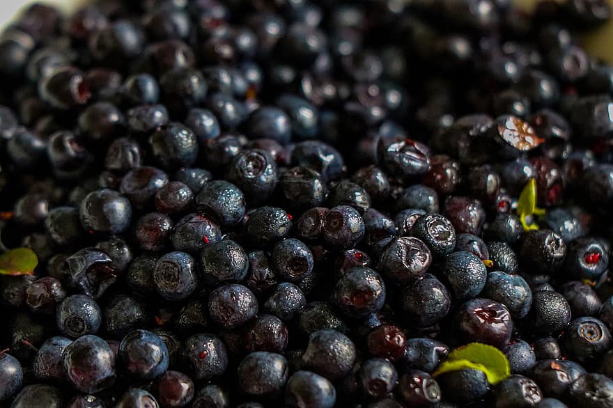 beri, hitam, blueberry, makanan, vitamin, manis, lezat, sehat, blackberry, segar, matang