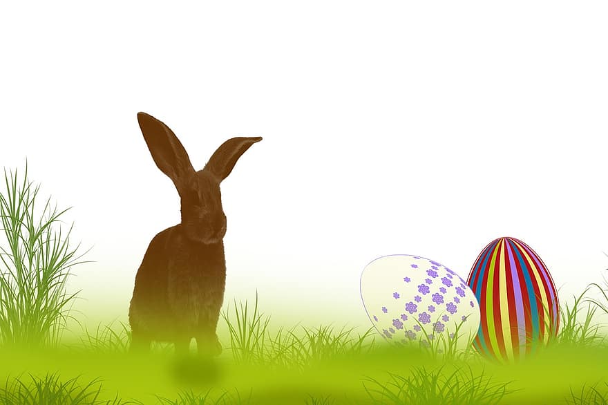 kelinci, rumput, musim semi, Paskah, hijau, liburan, alam, hewan, taman, telur, warna