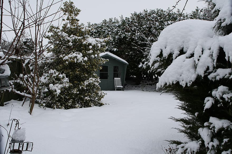 iarnă, zăpadă, grădină, copaci, acoperit cu zăpadă, rece, îngheţ, curte, natură