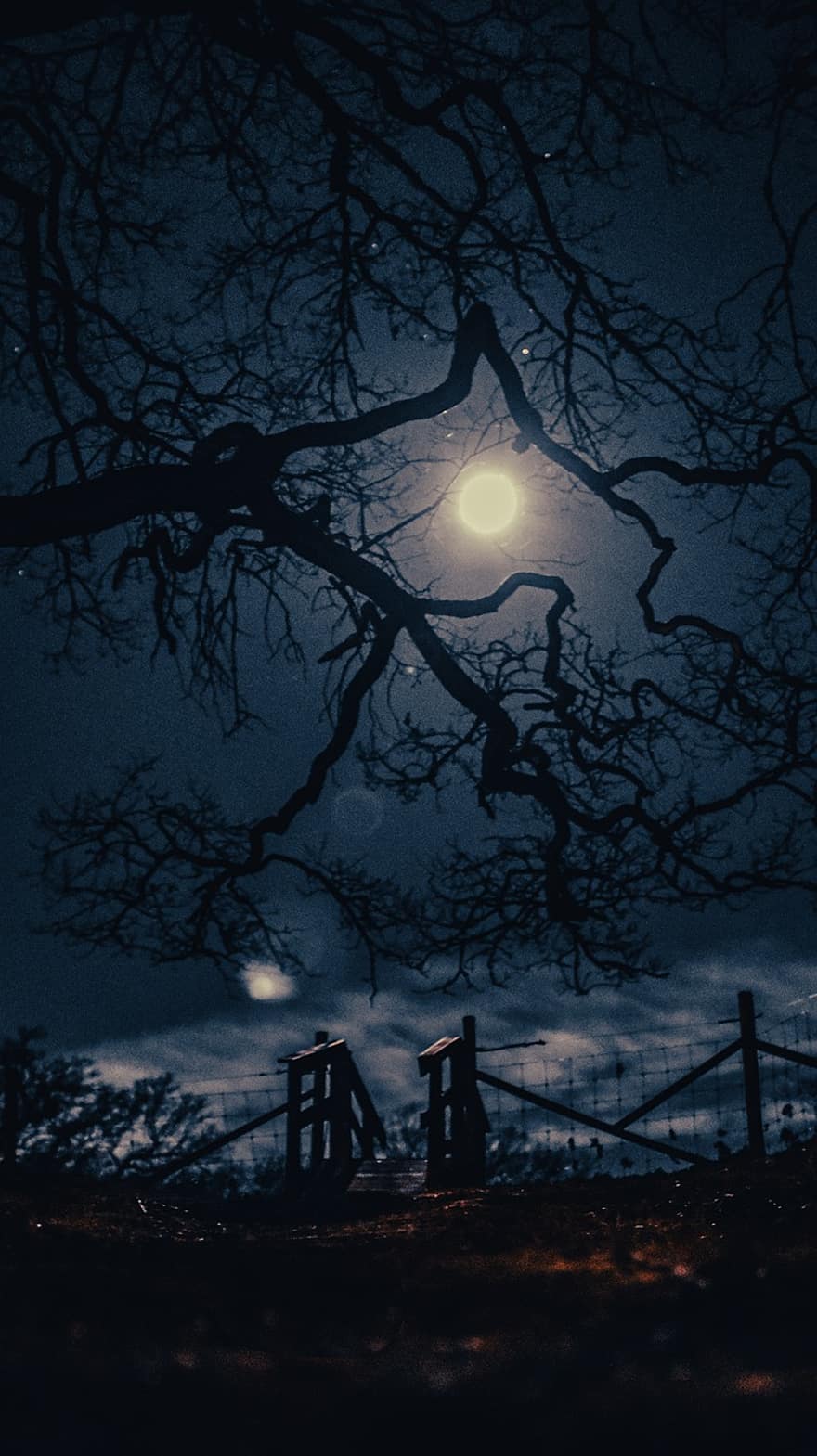 lluna, nit, arbre, cel, silueta, fosc, fantasmal, paisatge, il·lustració, branca, tardor