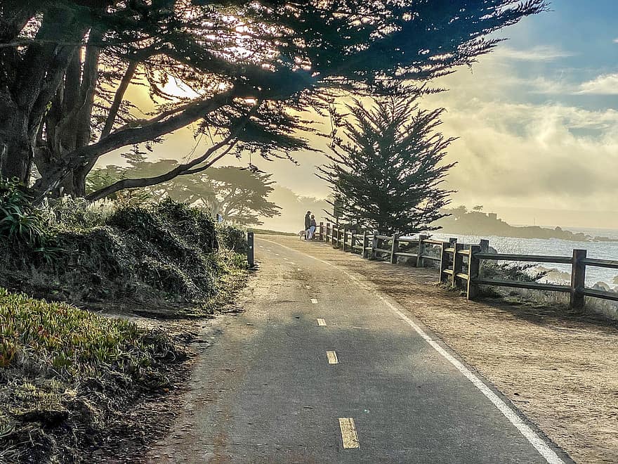 Monterey, велосипедная дорожка, Дорога, океан